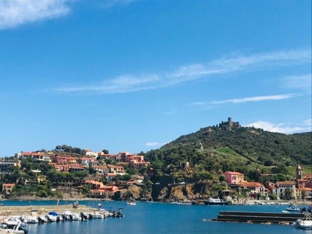 Villa Confort Et Cosy 20 Minutes D'Espagne Plage d'Argeles Exterior photo